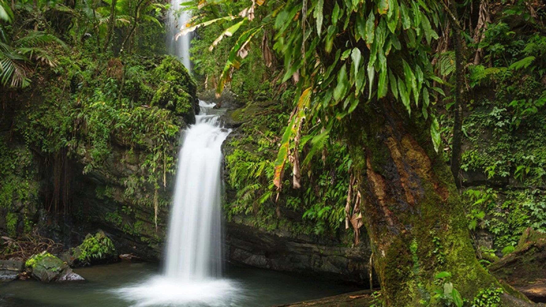 Todos quisieramos poder disfrutar de Agua del Manantial libre de desperdicios