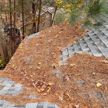 Pine needle and leaf cleanup on a roof (before and after). 