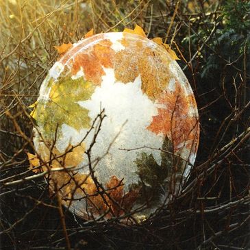Frozen ice disc with colorful autumn leaves inside, surrounded by branches.