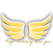 Angel Party Rentals