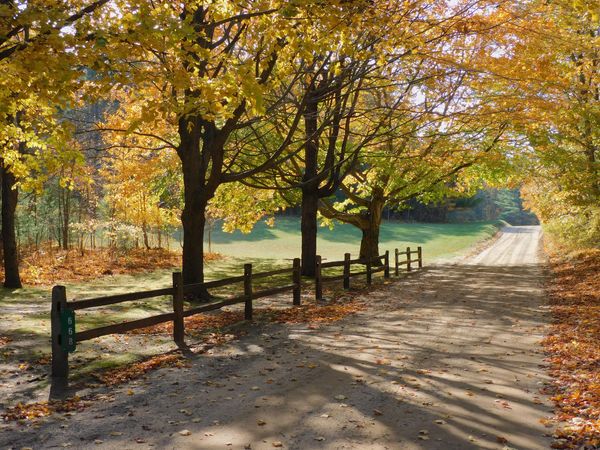 Fall foliage with split rail fence