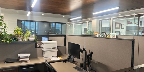Modern office cubicles with computers and plants under bright lights.