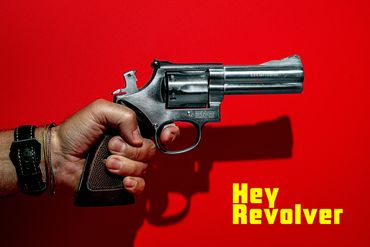 hey revolver, punk band, music, andrew manzella, 357 magnum, holding red