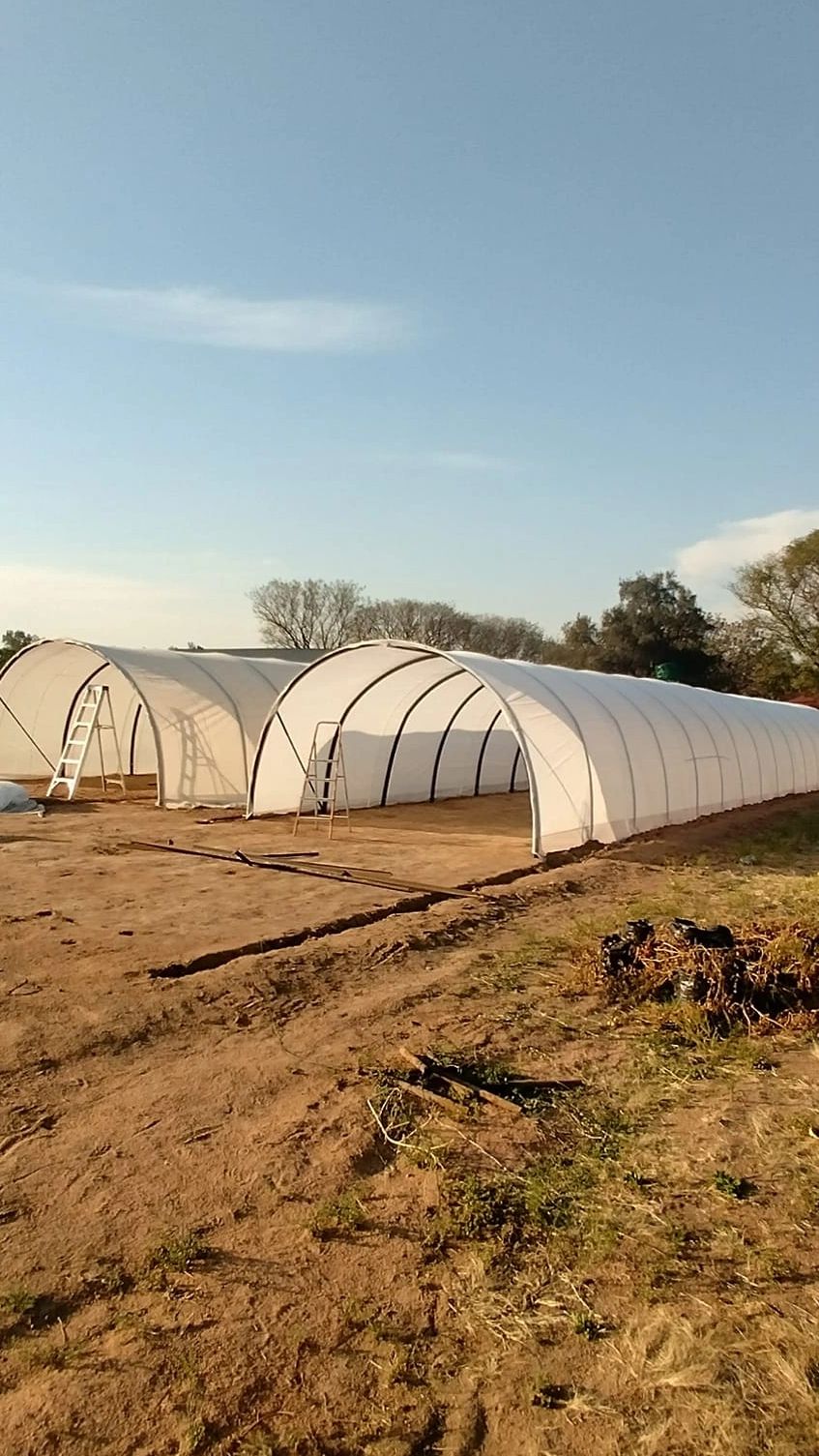 Greenhouse Tunnels For sale , DIY Greenhouse , Tunnel for Sale 