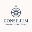 Consilium Global Strategies