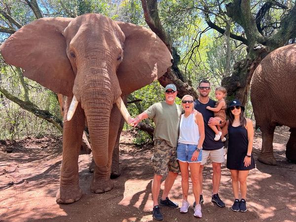 Meeting elephants in South Africa