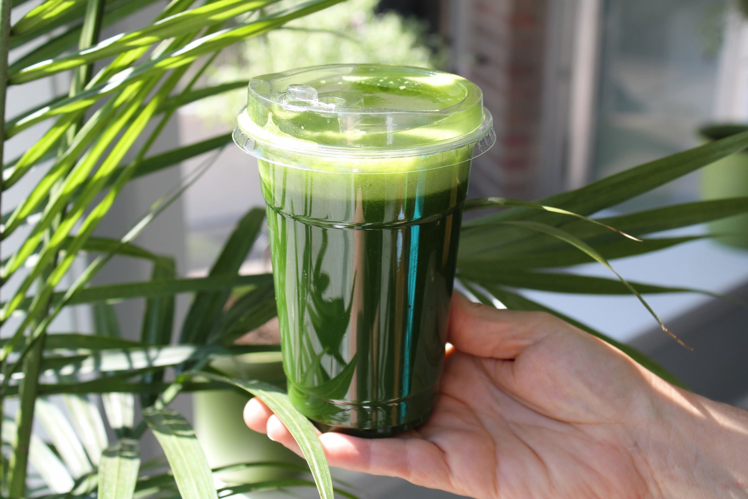 Green Bar Juice Bar, Health Food, Juice Bar, Açaí