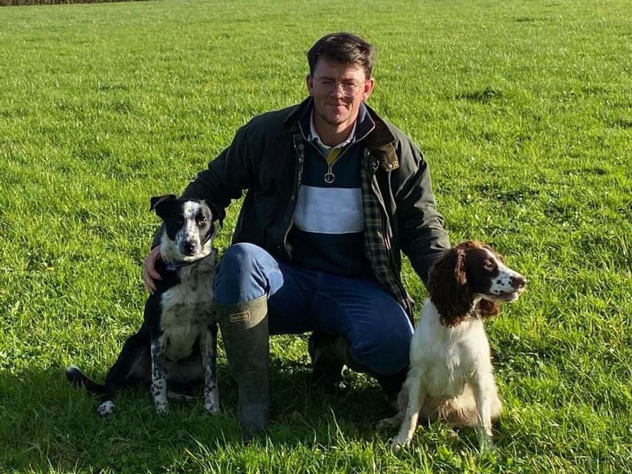 A man kneeling on grass with two dogs on a sunny day.