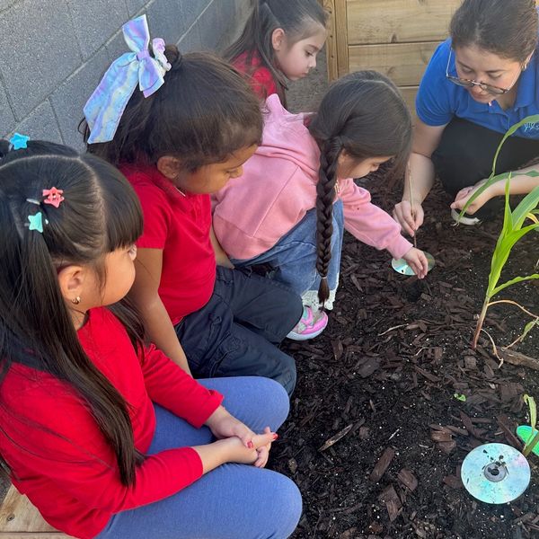 Planting Lesson