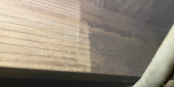 Mold remediation.