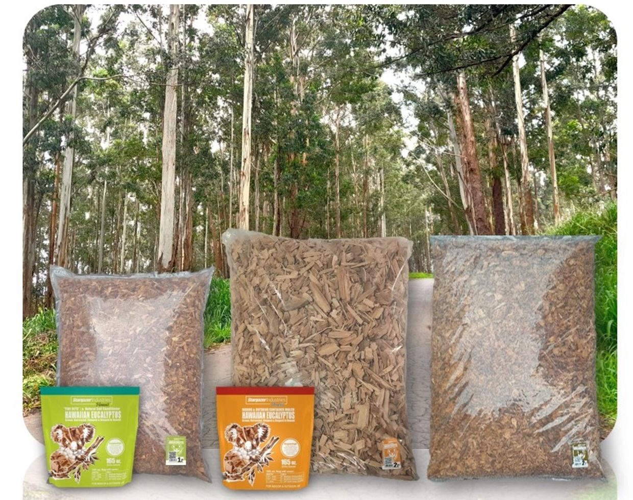 Three sizes of Starpaw koala eucalyptus bedding bags displayed outdoors.