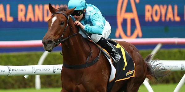 Jockey in blue racing on a brown horse during a race.