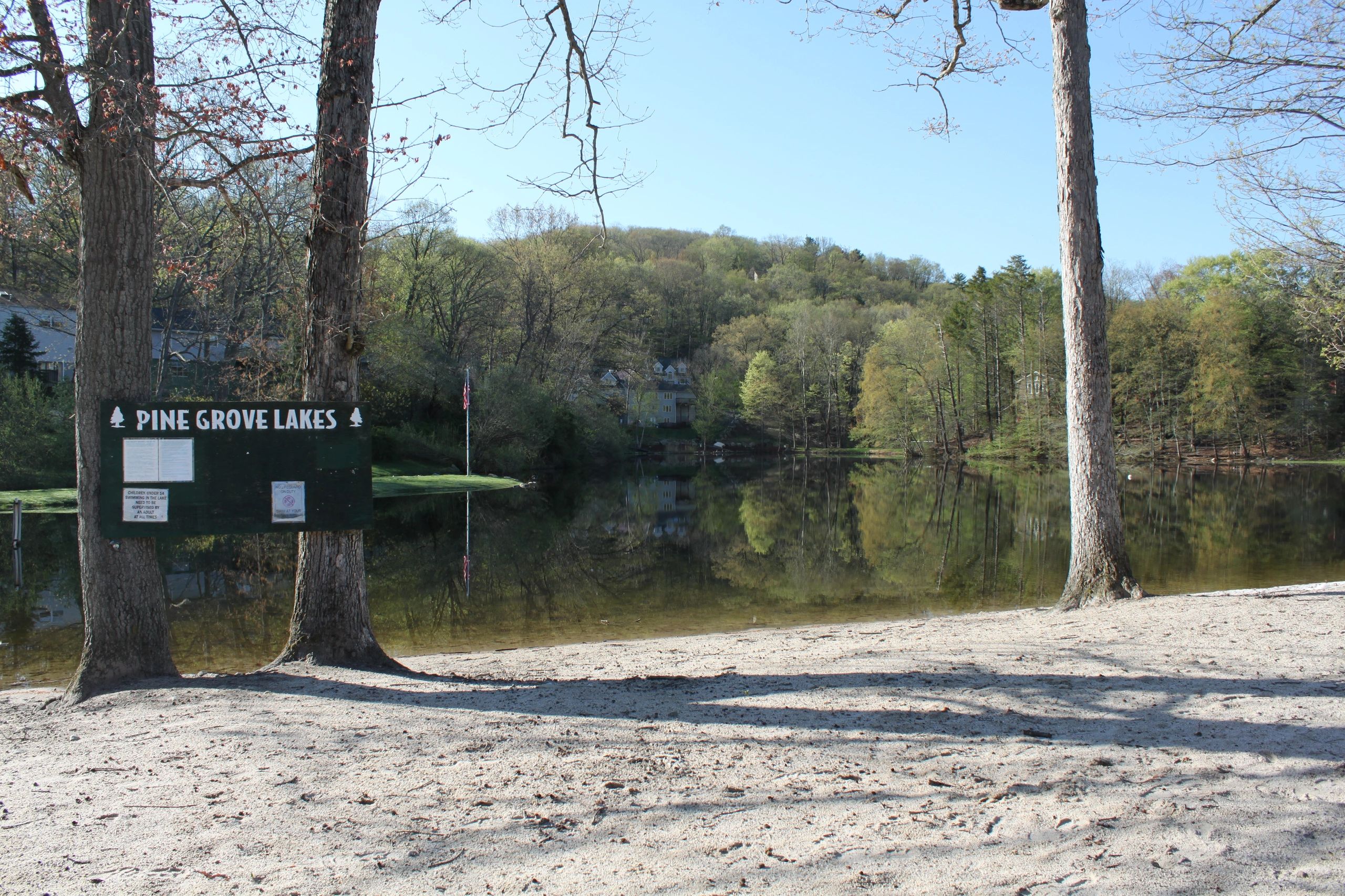 Association of Homeowners of Pine Grove Lakes