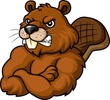 Woodchuck Pallets