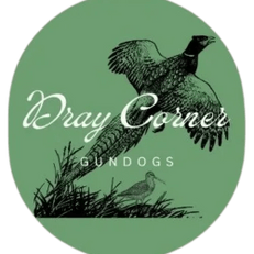 Dray Corner Gundogs