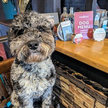 Dog friendly pub in Wolsingham