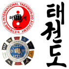 ETIENNE'S INTERNATIONAL TAEKWON-DO ACADEMY