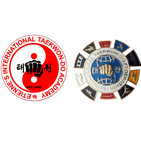 ETIENNE'S INTERNATIONAL TAEKWON-DO ACADEMY