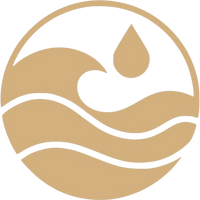 Trisha Hayden Coaching and Healing 