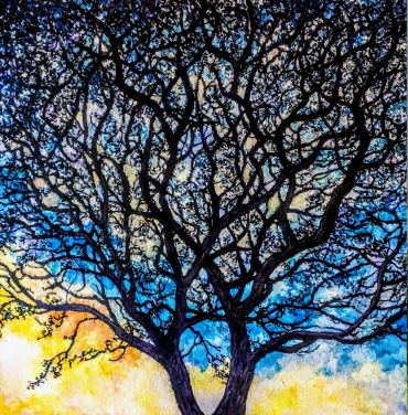 Silhouetted tree branches against a vibrant sunset sky.