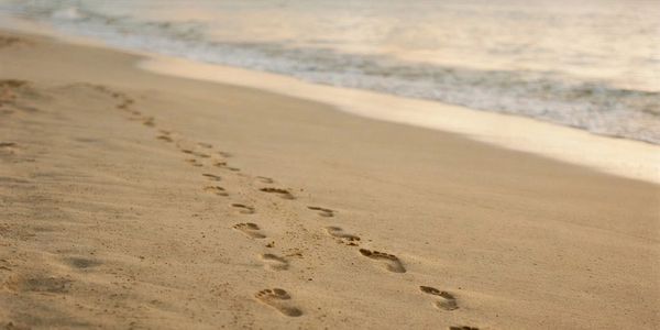 Footprints on a sandy beach at sunset.