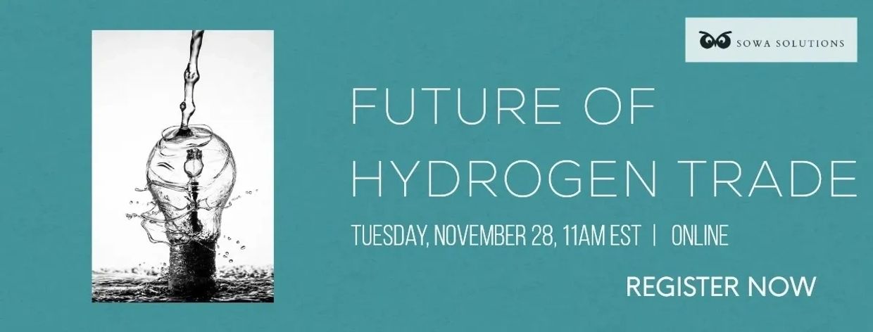 Future of hydrogen trade. Online Conference about green hydrogen business development.