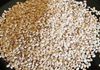 Sesame Seeds
