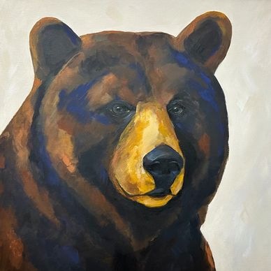 Original black bear portrait painting by Jasmine Shammay