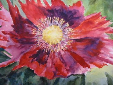 RED POPPY FROM SIENA
WATERCOLOR, SOLD