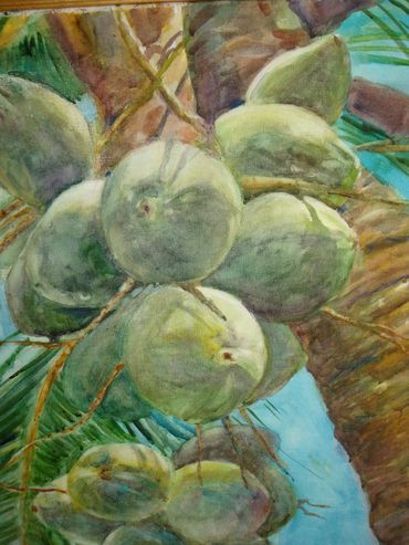 COCONUTS, WATERCOLOR 22 X 30" SOLD