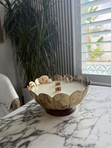 Decorative bowl with seashells on a marble table near a plant and window.