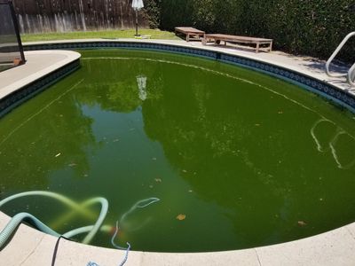 Original pool in need of help
