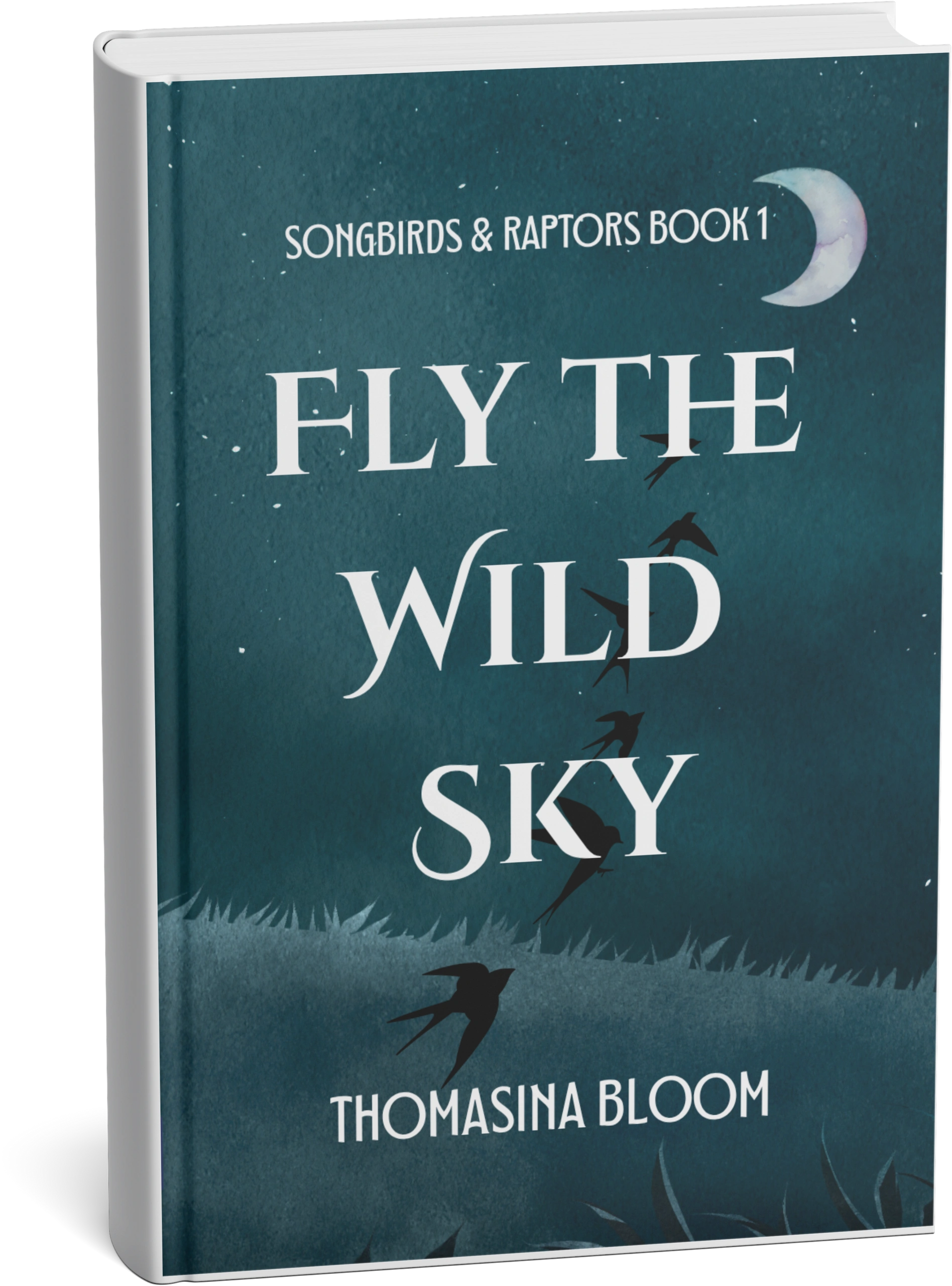 Fly the Wild Sky, Book 1 of Songbirds & Raptors Series