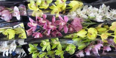 Flower District NYC Wholesale Flowers Flower Supply Flower Market NYC orchids