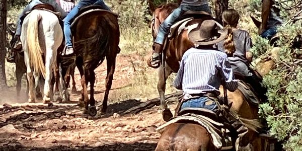 Horse riding up the trail.