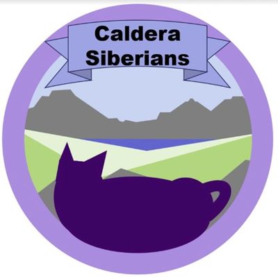 Logo of Cadena Siberiana featuring a mountain and a wolf silhouette.