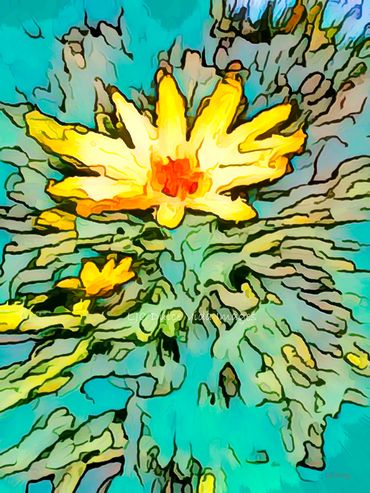 Yellow flower abstract photograph