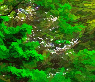 flock white birds forest, white birds in the forest abstract