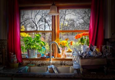 Kitchen window