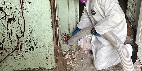 Asbestos removal