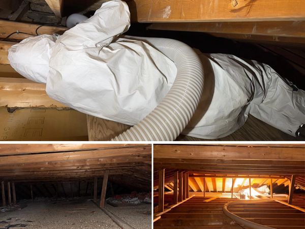 asbestos remove, guy in protective suit