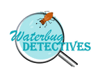 Waterbug Detectives