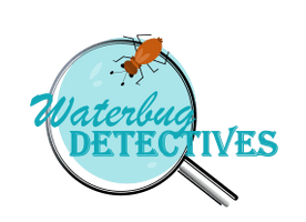 Waterbug Detectives