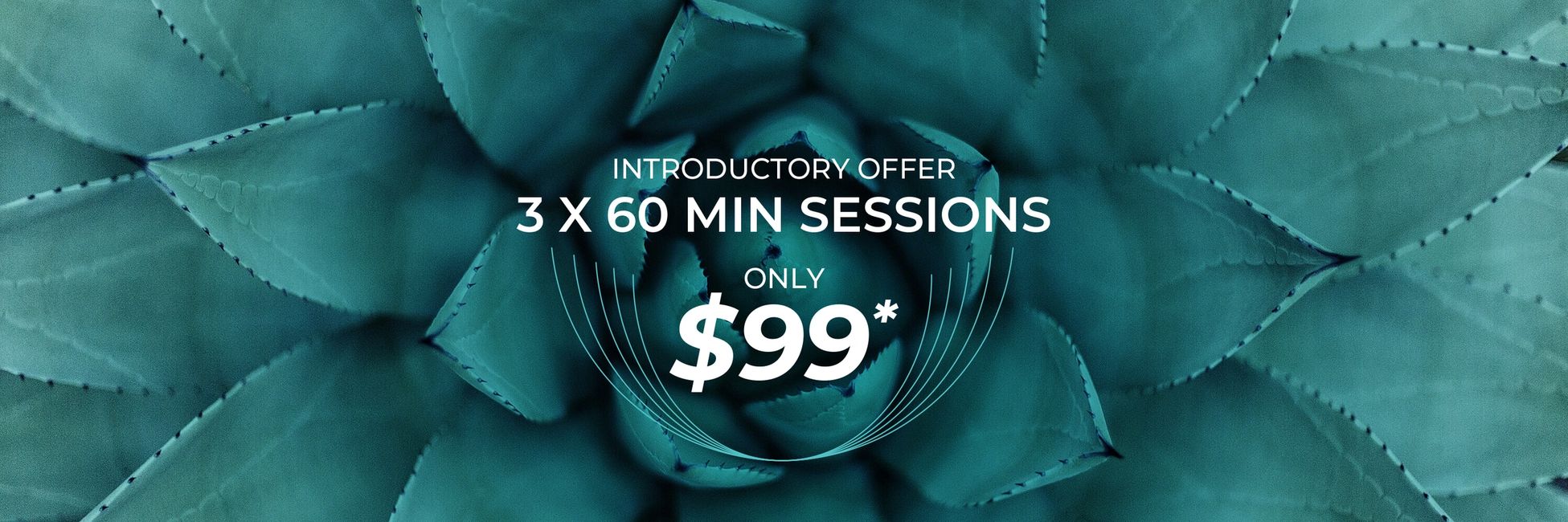Introductory Offer Recharge You PEMF Therapy Auckland