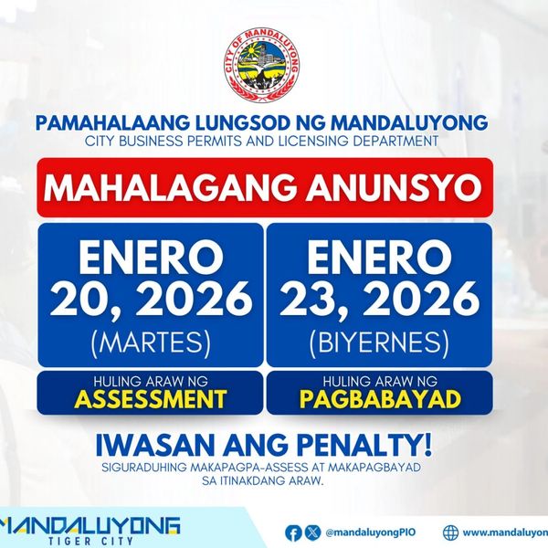 Mandaluyong business renewal extension 2026