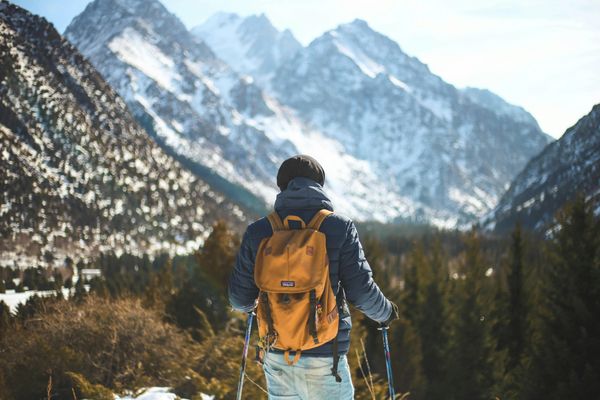 snow-topped mountains in the background.Behind view of hiking person with 2 walking sticks.Peaceful