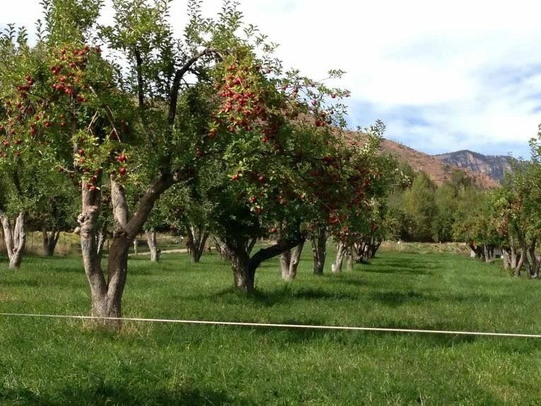 Orchard Creek Ranch photo