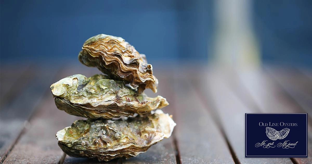 Power tripping  The Grit In The Oyster