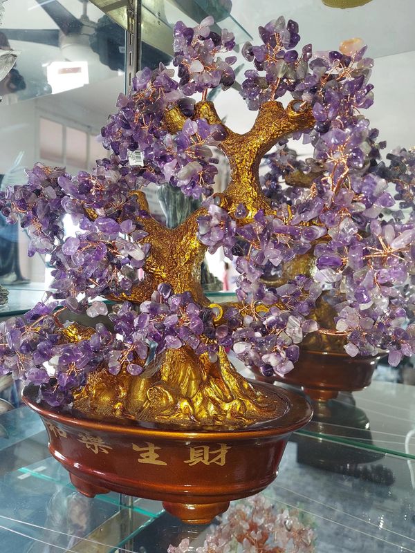 Beautiful Amethyst Chinese Money Tree. Attract peace and prosperity 