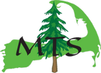 McCabe Tree Service